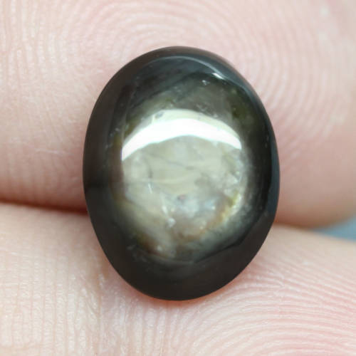 7.09Ct.Star 6 Rays Golden Black Sapphire Cabochon Natural 100%  Unheated