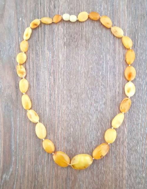 19` Beautiful Genuine Baltic Amber **Egg York**Cleopatra Choker Necklace for Woman
