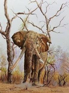 Faan Grobler - Elephant - Magnificent investment art!! - A rare opportunity, act fast and bid now!