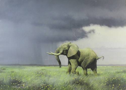 Ignatius Marx - Elephant and the storm - A magnificent investment painting! - 94cm x 68cm - Bid now!
