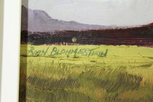 Peter van Blommestein - Expansive landscape - Beautiful! Get it now!!