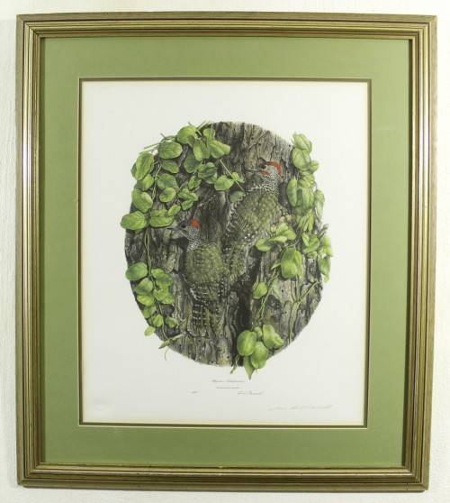 Gail Dorrall - Knysna Woodpecker - Beautiful! - Bid now!!