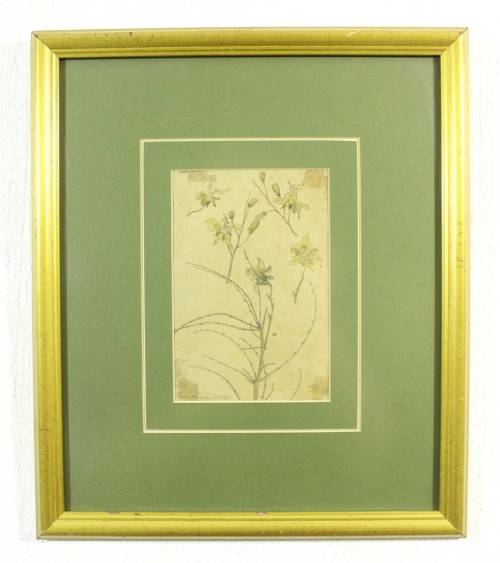 Erich Mayer - Botanical study SWA