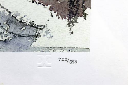 Gregoire Boonzaier  - Cape street scene - A beautiful signed litho print! Giveaway price, bid now!