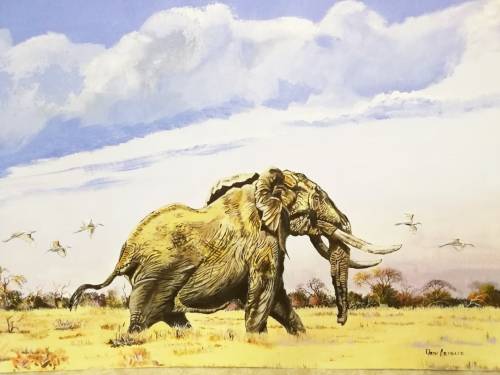 Faan Grobler - Elephant - Magnificent investment art!! - Bid now!
