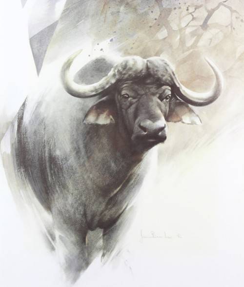Joan Beuche - Buffalo - A beautiful framed print!! - Giveaway price! - Bid now!!