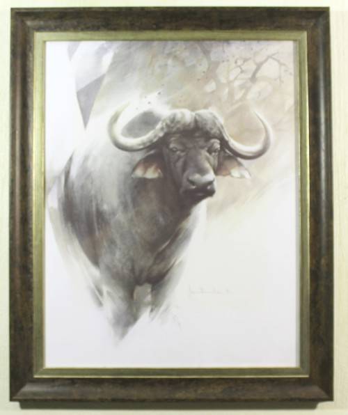 Joan Beuche - Buffalo - A beautiful framed print!! - Giveaway price! - Bid now!!