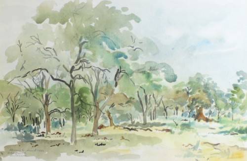 H Armant - Landscape
