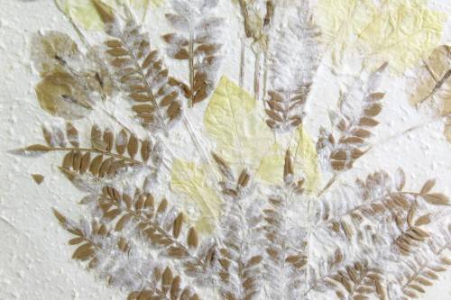 Dry leafs arrangement on hand made paper - Giveaway price! - Bid now!!