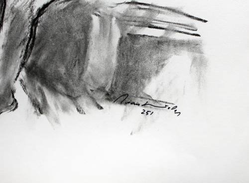 Jean Welz - portfolio - eleven prints