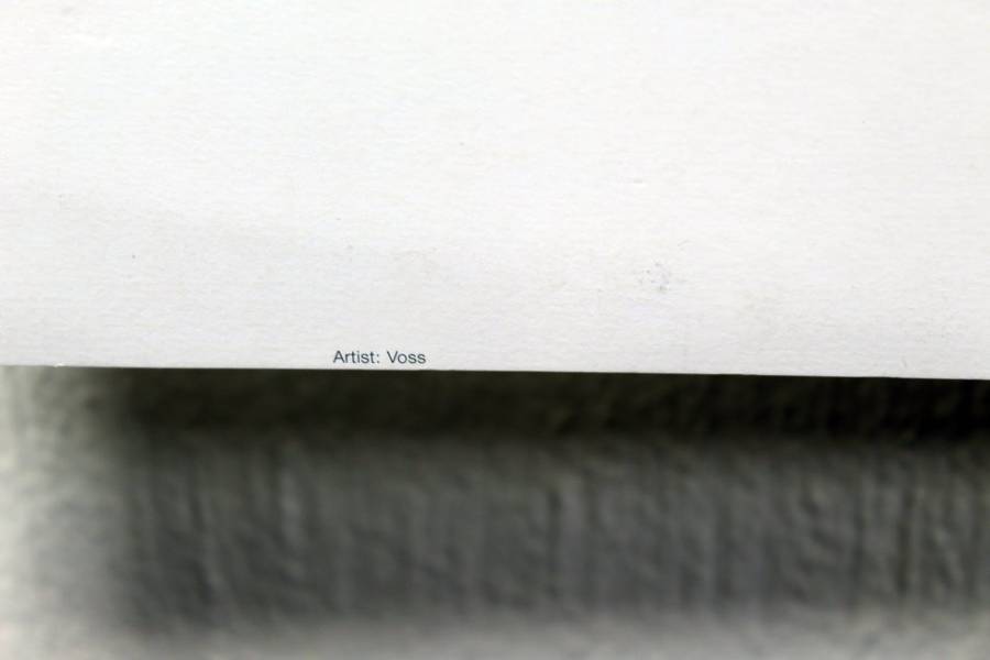 Poster - Voss - Abstract - Beautiful! - Bid now!!