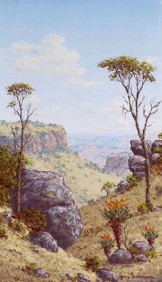 Henry Bredenkamp - Valley scene with aloes - A beautiful painting - Bid now!!