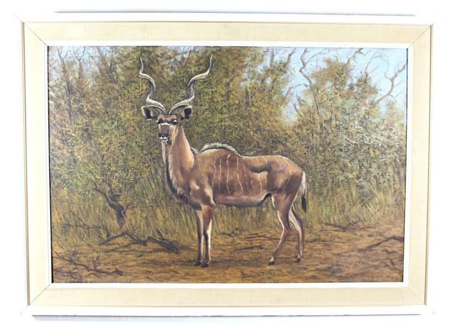 Gerhard Wagner - Kudu bull