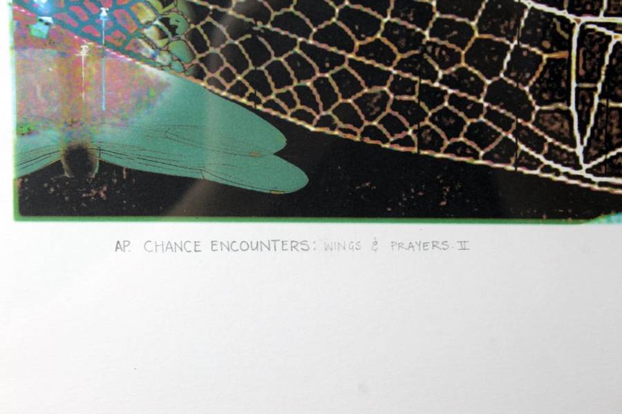 Anni Snyman - wing & prayers IV