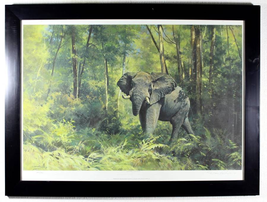 Dino Paravano - Knysna Elephant