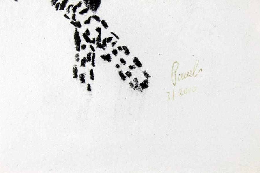 Paul`s - Cheetah walking
