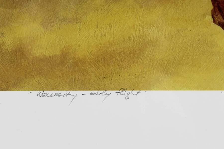 Simon Addy - Necessity- early flight - A beautiful limited edition print! - With COA - Bid now!