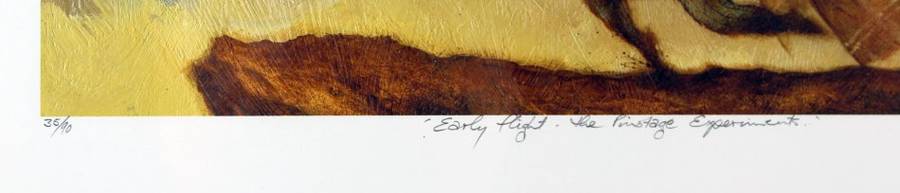 Simon Addy - Early flight - the Pinotage experiment - Limited edition print! - With COA - Bid now!