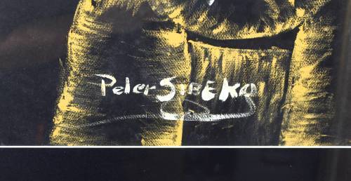 Peter Sibeko - Guitar player
