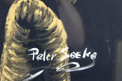 Peter Sibeko - Man playing a concertina