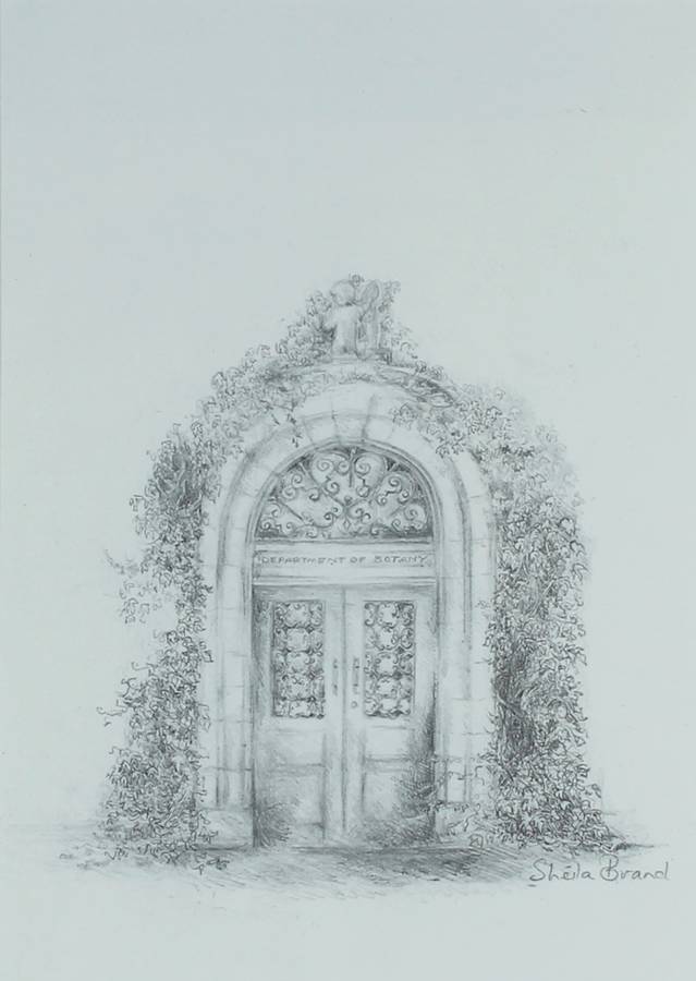 Sheila Brand - Department of Botany UCT