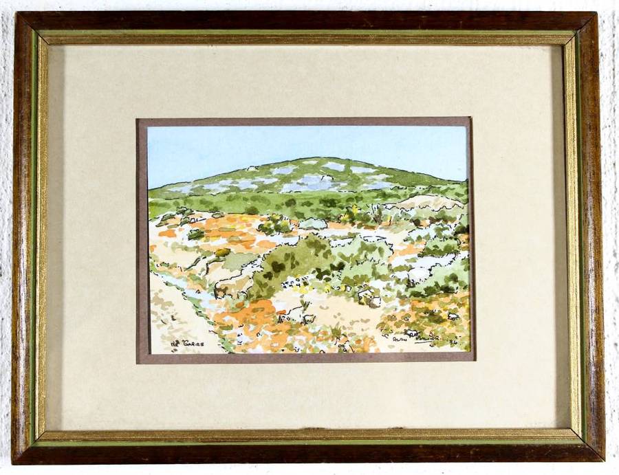 Alan Maling - Near Garies