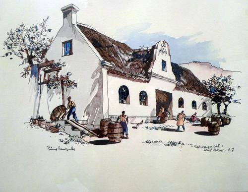 Phillip Bauwcombe - Schoongezight Wine Cellars - A little treasure! Bid now!