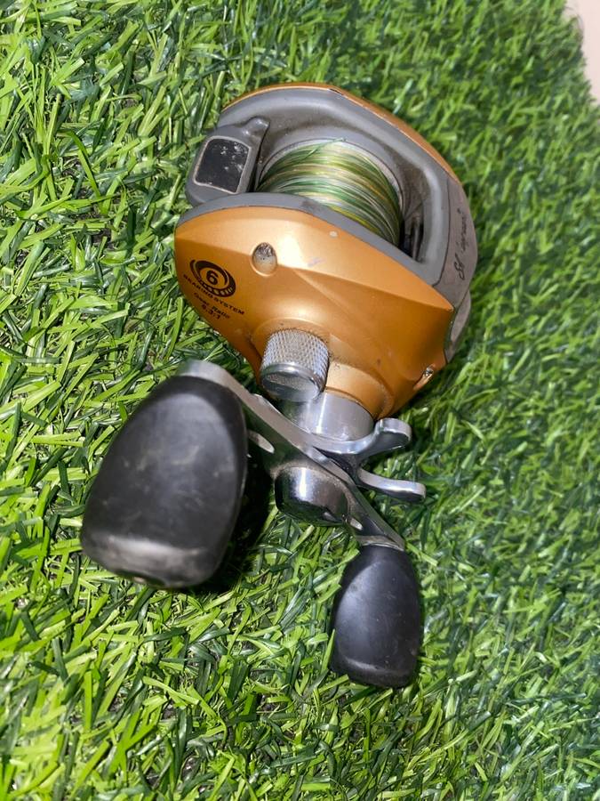 Shakespeare Dimension baitcaster