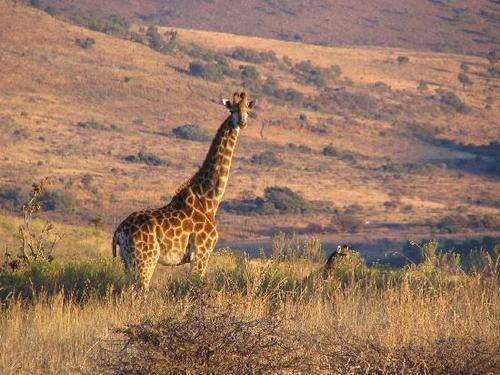 Crystal springs Midweek break Studio unit 4 sleeper 8-12 June