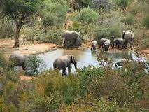 Midweek breakaway at Mabilingwe nature reserve 17-21 August 2 bedroom sleep 6