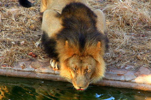 Midweek breakaway at Mabilingwe nature reserve 26-30 October 2 bed 6 sleeper