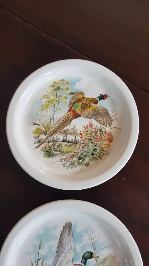 pottery type shallow bowls x 2 very nice bird pics