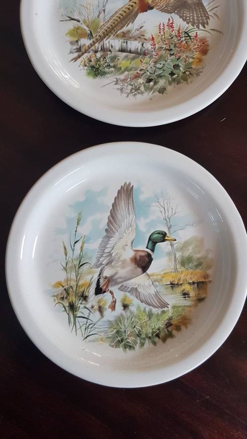 pottery type shallow bowls x 2 very nice bird pics