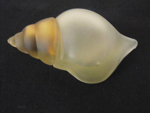 PERFUME BOTTLE STILL 3/4 FULL