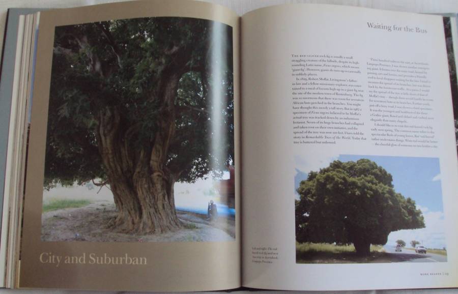 In Search of Remarkable Trees on Safari in Southern Africa Thomas Pakenham signed copy