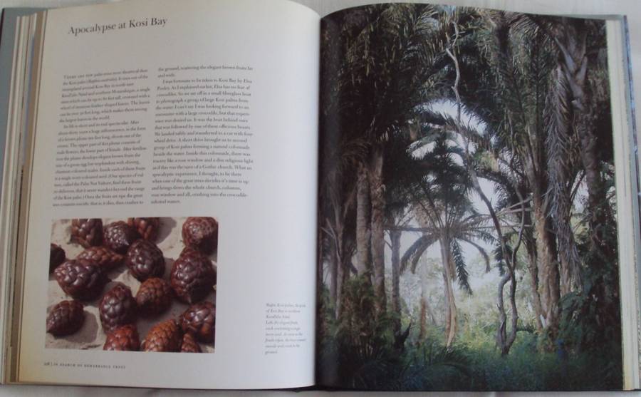 In Search of Remarkable Trees on Safari in Southern Africa Thomas Pakenham signed copy