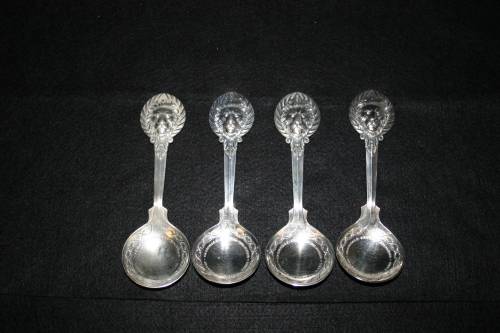 Kruger park spoons