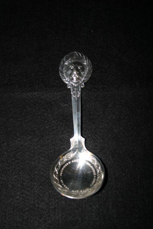 Kruger park spoons