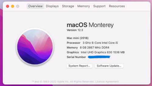 Mac mini