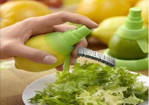 CITRUS SPRAYER
