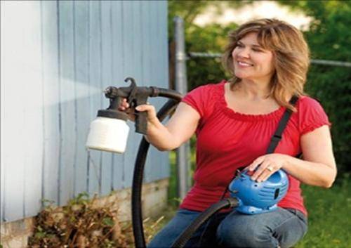 PAINT ZOOM PROFESSIONAL SPRAY SYSTEM