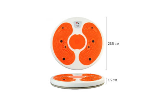 WAIST TWISTING DISC