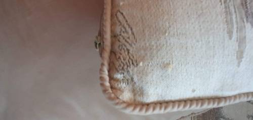 Finely woven Vintage `Duck motive`(muscovy) x3 cushions with inners excellent condition