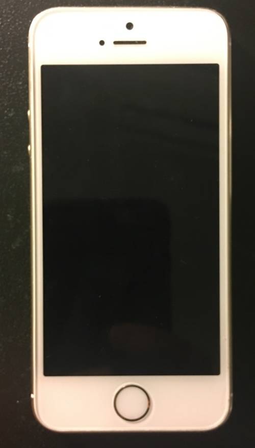 iPHONE 5S 16GB GOLD - EXCELLENT CONDITION - FREE SHIPPING! FREE MOPHIE BATTERY CASE!