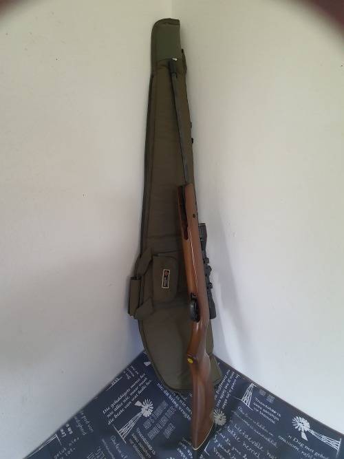Pellet gun