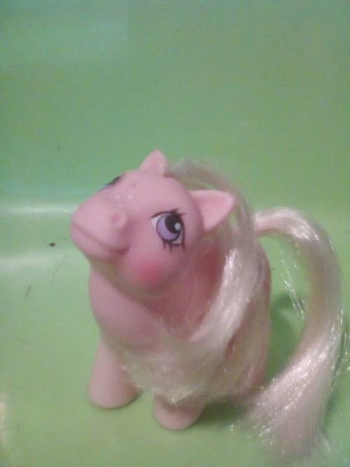 My little pony baby cotton candy