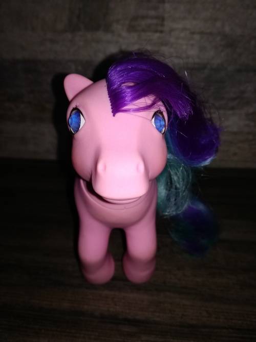 My Little Pony Whizzer 1985