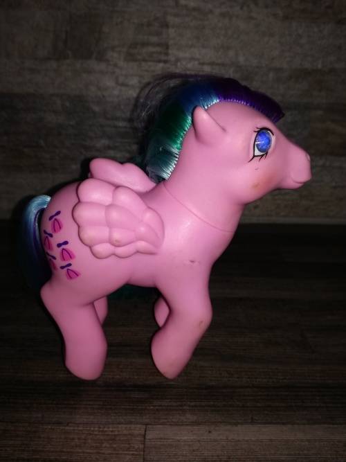 My Little Pony Whizzer 1985