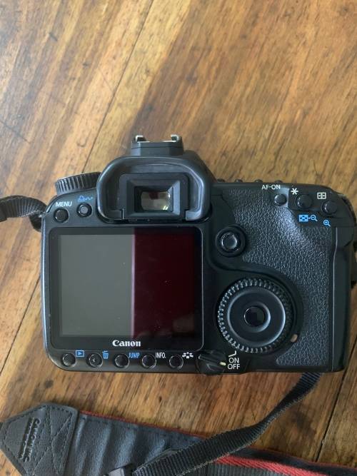 Canon EOS 40D Body Only (Used)