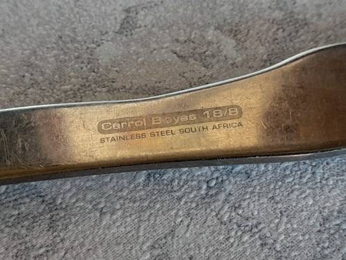 Carrol Boyes Functional Art  Serving Spoon